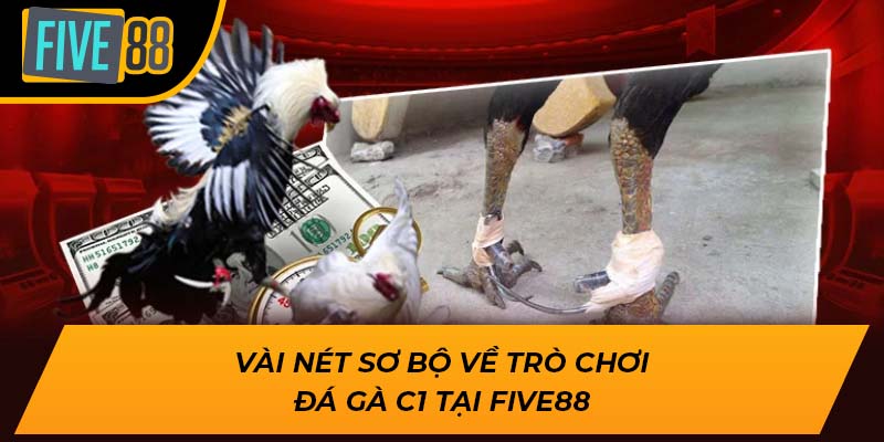Vài nét sơ bộ về trò chơi đá gà c1 tại Five88