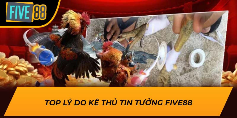 Top lý do kê thủ tin tưởng Five88
