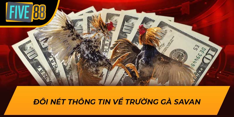 Khám Phá Thế Giới Đặc Sắc Của Trường Gà Savan tại Five88 1 Đôi nét thông tin về trường gà Savan