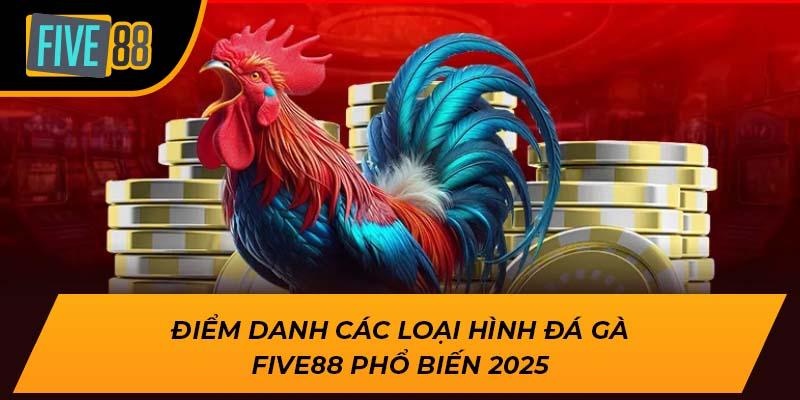 Đá Gà Five88 – Sân Chơi Cá Cược Đỉnh Cao Dành Cho Kê Thủ 3 Điểm danh các loại hình đá gà Five88 phổ biến 2025